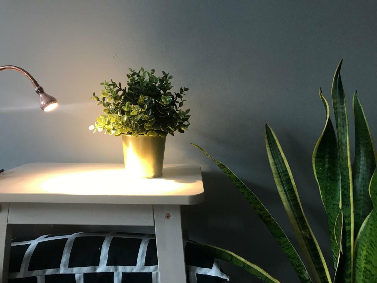 Apartament Centrum Zielona Góra Esterno foto